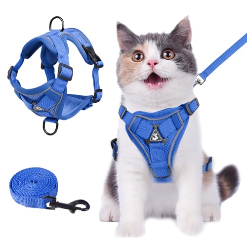 cat Chest Harness and Leash (Royal blue / M:6.6-9.9lb)
