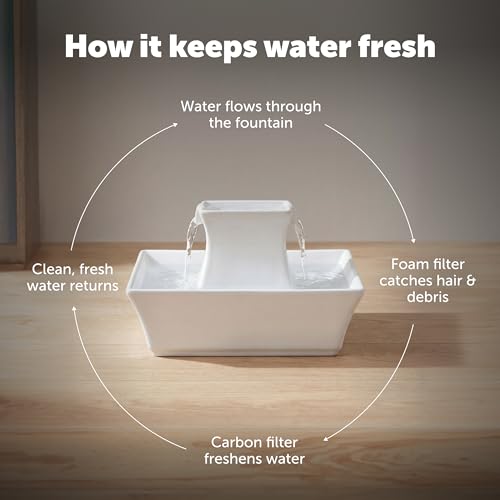 Drinkwell Pagoda Fountain (Fountain + 12 Carbon Filters + 2 Foam Filters)