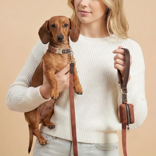 PU Leather Dog Collar for Small Dogs Puppy (Reddish Brown / S: Neck 11-15", Width ⅝")
