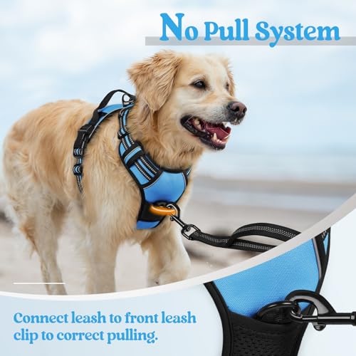 Dog Harness No Pull for Large Dogs with 2 Leash Clips (Large / Blue)