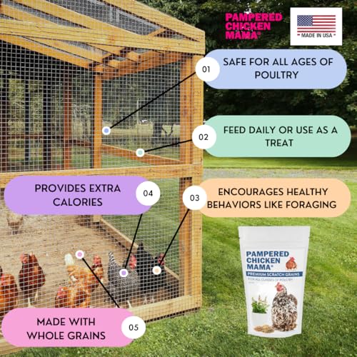 Premium Scratch Feed Treat (10 Pound (Pack of 1))