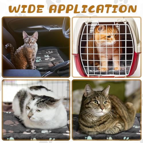 4 Pack Soft Pet Bed Mat Small Dog Crate Fleece (21 x 14 Inches / Black)