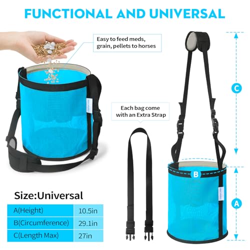 Horse Feed Bag for Grain (Sky blue)