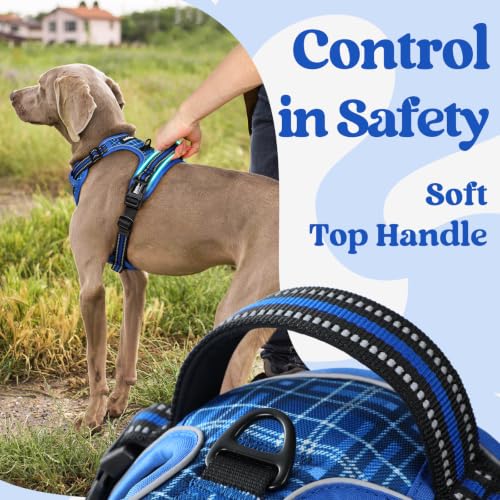 Dog Harness for Large