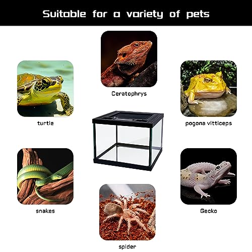 Mini Reptile Glass Terrarium Tank 8 * 8 * 6" Full View (8*8*6inch)