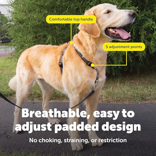 3 in 1 No Pull Dog Harness (Black / Large (Pack of 1))