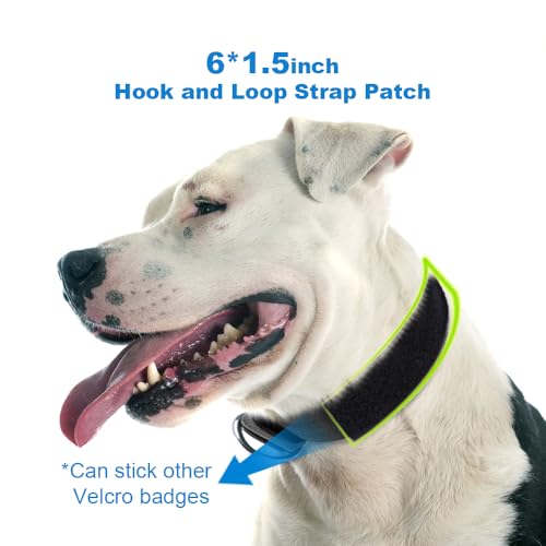 Heavy Duty Tactical Dog Collar with Patch (L/XL – Fits Neck 19.5"-23.5" / Basic Green)