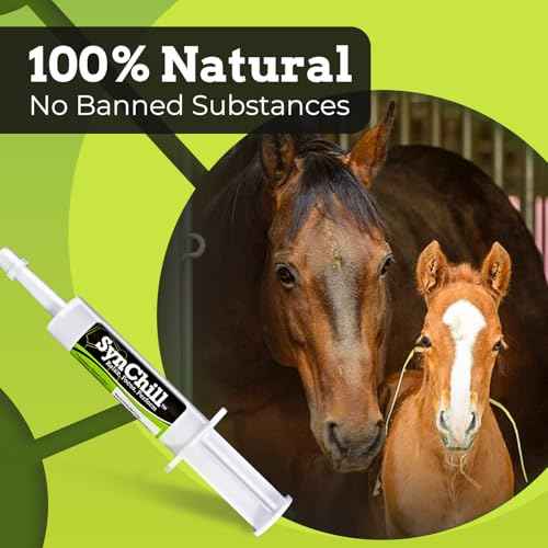 SynChill Horse Calming Supplement Gel (10-Pack)