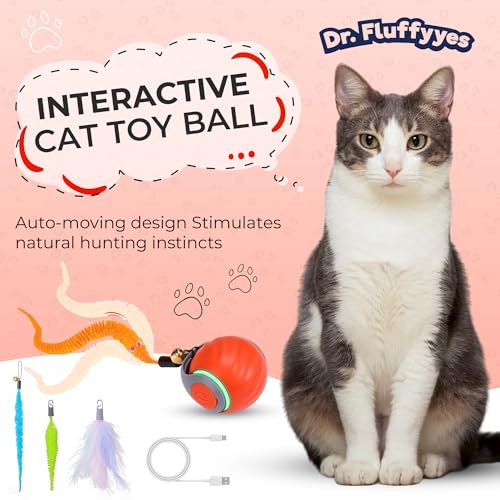 Interactive Cat Toy Ball (01 Orange)