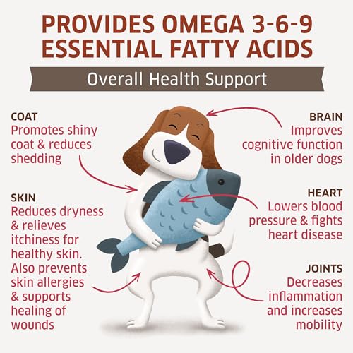 Salmon Oil for Dogs
