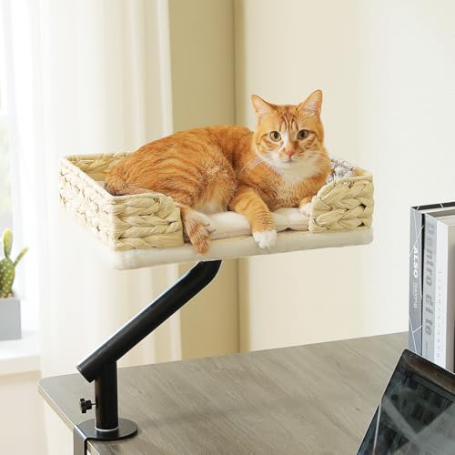 Cat Desk Bed for Indoor Cats (Beige)