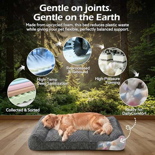 XL Orthopedic Dog Beds Large Sized Dog (L Plus(38"L x 28"W x 8"Th) / Grey)