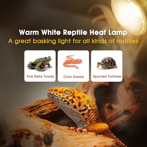 Reptile Heat Bulb (Warm Bulb 75w / 2 Pack)