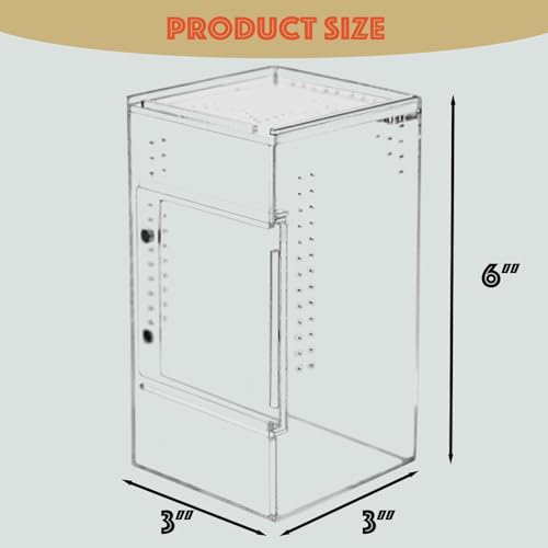 3x3x6 Acrylic Reptile Enclosure for Jumping Spiders & Mantises (3"3"6")