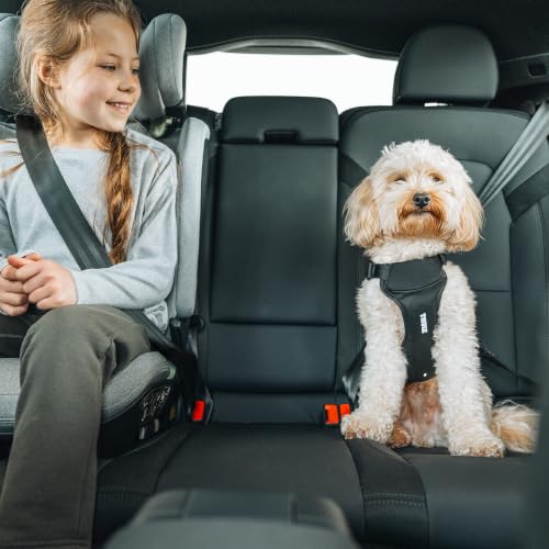 Cappy Dog Harness S (Small)