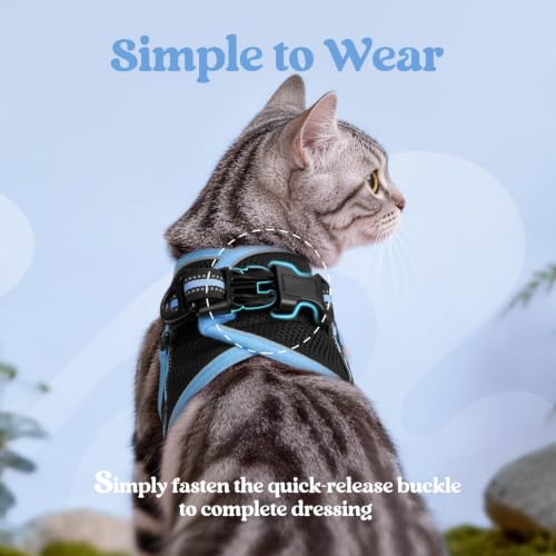 Cat Harness and Leash Set (M / Black & Light Blue)