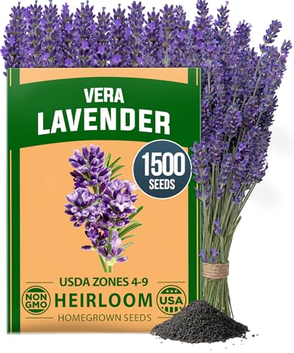 English Lavender Seeds