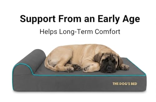 The Dog’s Bed Orthopedic Memory Foam Dog Bed with Headrest XXL 6 (Grey with Blue Trim / XXL (54"L x 36"W x 6"Th))