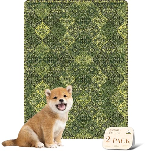 Washable Pee Pads for Dogs (18x24 Inch (Pack of 2) / Green/Multi)