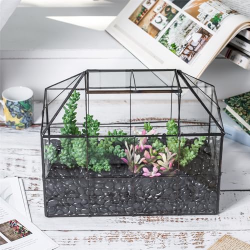 Glass Terrarium Planter with Lid for Small Succulent Plants