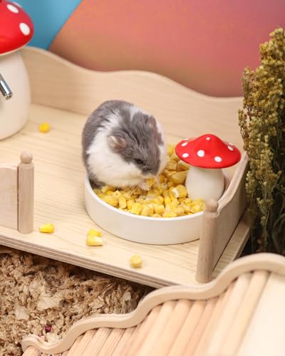 Hamster Snack & Treats Toy