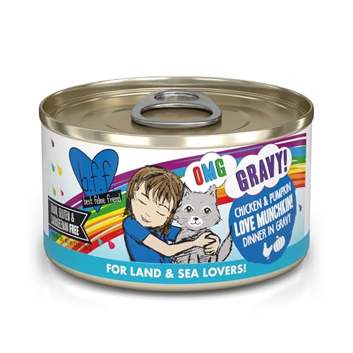 B.F.F. OMG Best Feline Friend Oh My Gravy! (2.8 Ounce (Pack of 12))