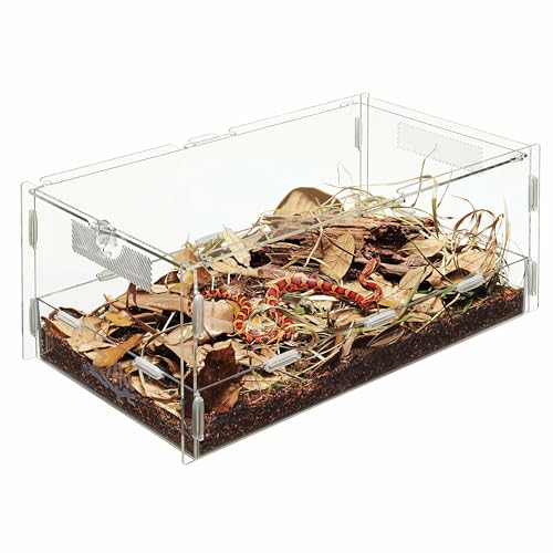 Micro Habitat Terrarium (Large / Terrestrial / Clear)