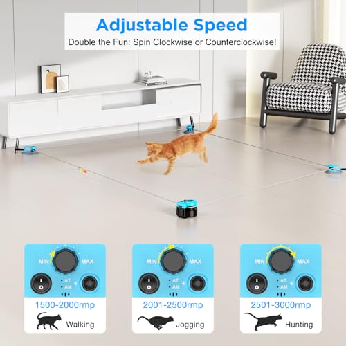 Interactive Cat Toy for Indoor Cats with Remote (Sky Blue)
