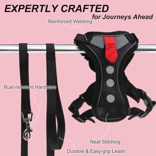 Cat Harness and Leash (Black Suit / Medium (Chest: 16 - 20"))