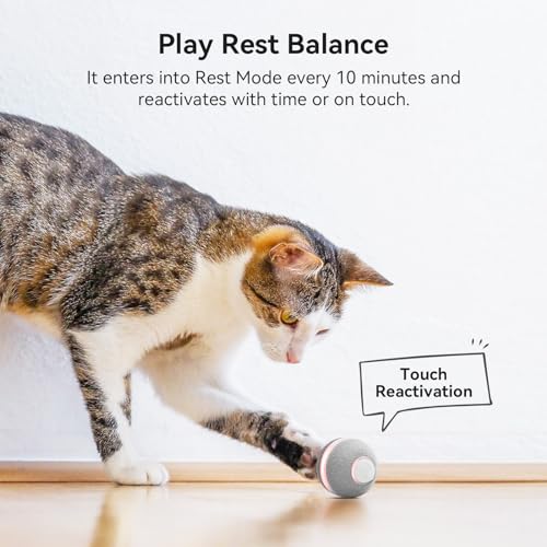 Smart Interactive Cat Toy (Grey)