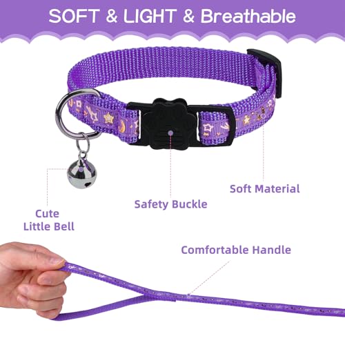 Cat Harness with Leash and Collar Set (Medium / Purple)