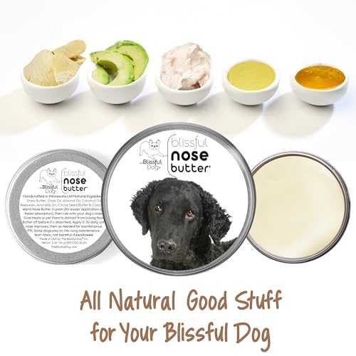 Curly Coat Retriever Unscented Nose Butter (Curly Coat Retriever / 2 Ounce)