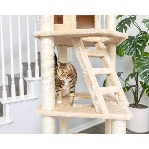 Cat Tree Model A8001 (40"(L)X33"(W)X80"(H) / Beige)