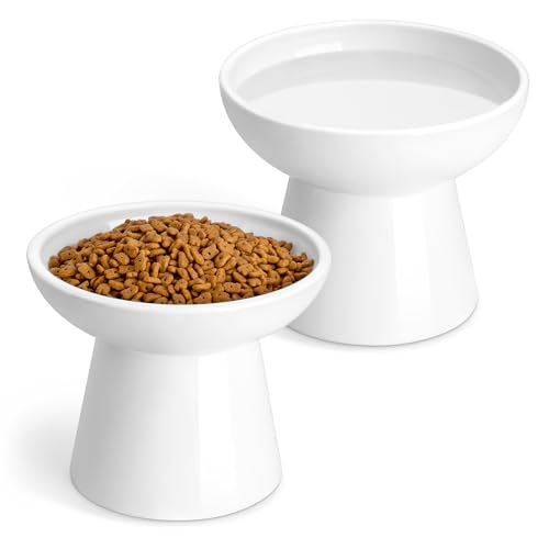 2 Pack 6.2" Wide Elevated Cat Bowls (White)