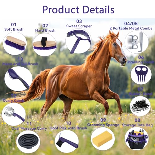 13 Piece Horse Grooming Kit (Purple)