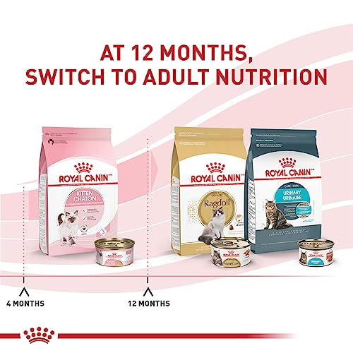 Feline Health Nutrition Kitten Loaf in Sauce Cat Food (3 oz (Case of 24))