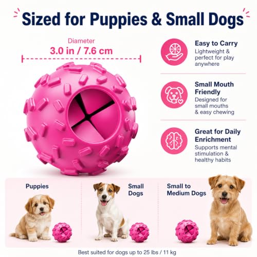 Treat Dispensing Dog Toy (Purple)