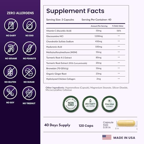 Glucosamine Chondroitin MSM Joint Supplement Complex