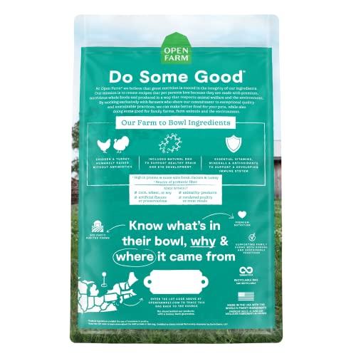 Grain Free Kitten Recipe (2 Pound (Pack of 1))