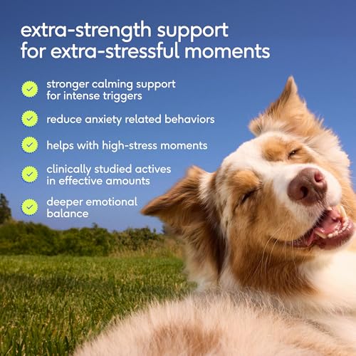 Advanced Calming Chews for Dogs (120 Count)