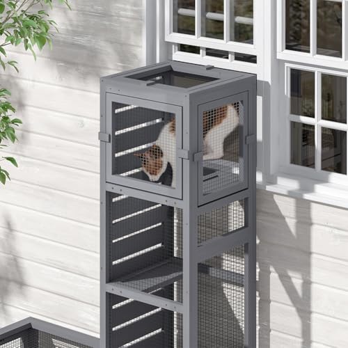 Wooden Cat Tunnel Modular 3 Assembly Modes Indoor Outdoor Play Tube (46"L x 16.5"W x 68.5"H)