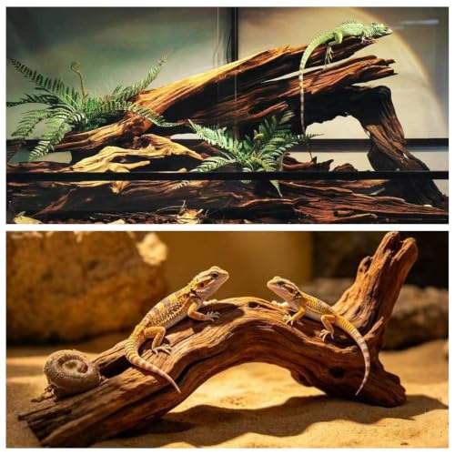 Bearded Dragon Driftwood for Reptile