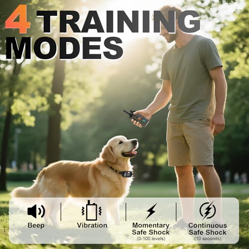Dog Training Collar with Remote (1 collar with remote)