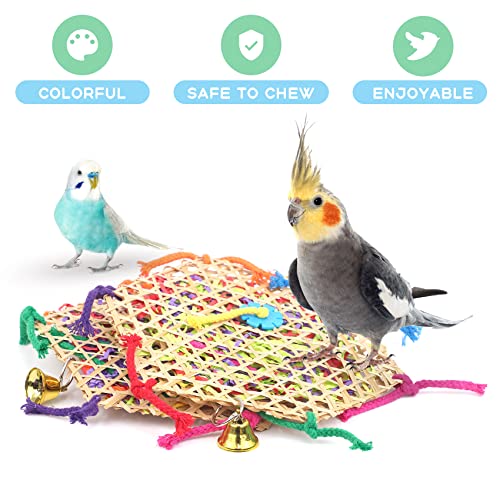 Bird Parrot Toys (A-2 pack)