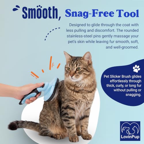Pet Slicker Brush (Slicker Brush (Blue/Black))