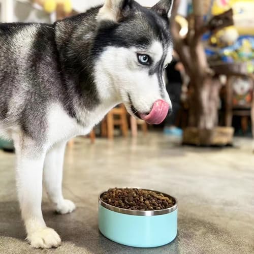 Stainless Steel Dog Bowl