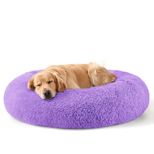 Dog Beds Large Sized Dog and Cats (Purple / 32.0"L x 32.0"W x 8.0"Th)
