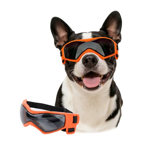 Medium Dog Goggles for Medium Breed UV (Medium / Orange)