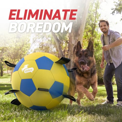 25 Inch Herding Ball for Dog with Straps (Yellow / 25 Inch)