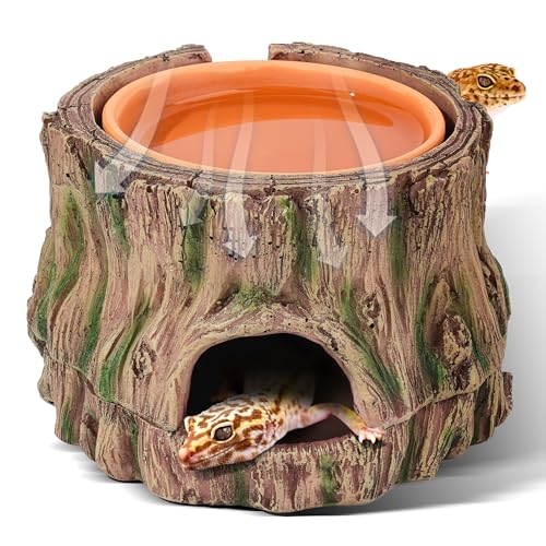 3 in 1 Leopard Gecko Humid Hide